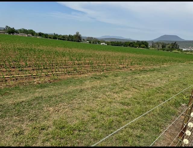 12HA FARM FOR SALE IN WEENEN